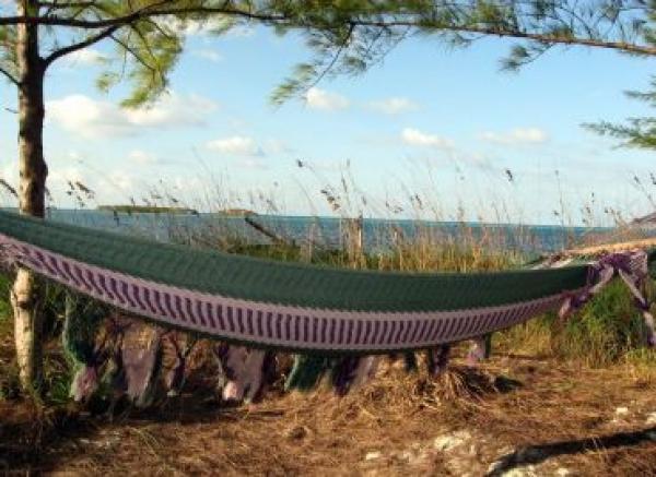 The Hammock