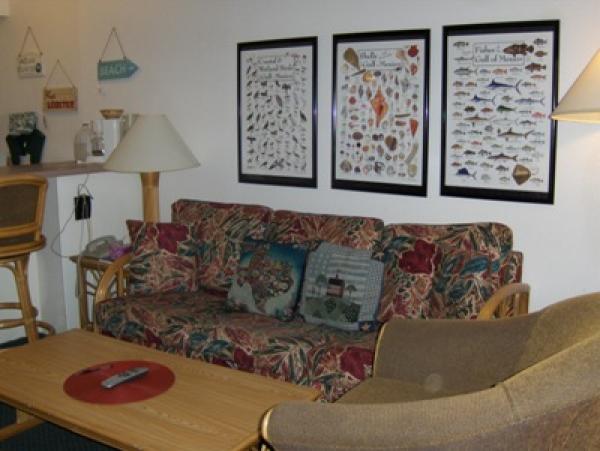 Another View of Living Room