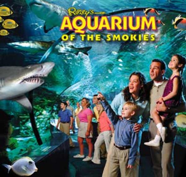 Ripley's Aquarium