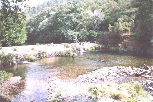 Swimming spot-Encerto 0.5 Km 