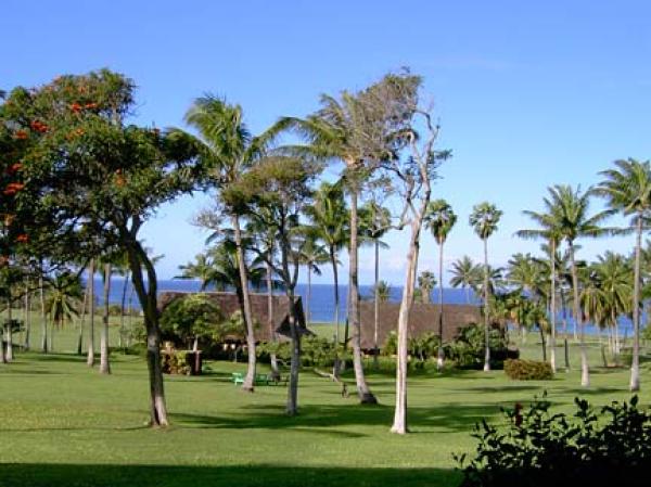 Maunaloa, Hawaii, Vacation Rental Condo