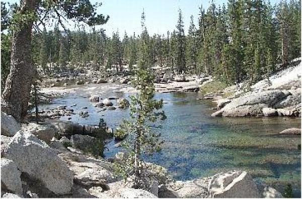 Hiking in the high country