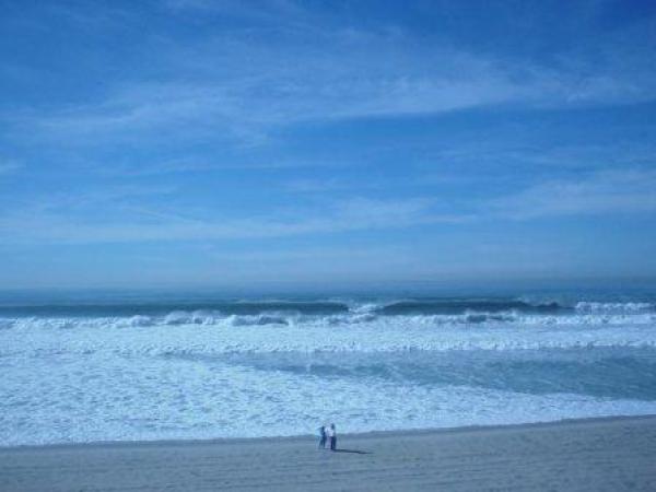 7 miles of great Beach! the reason you're here 