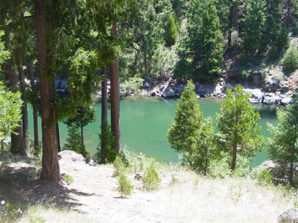 Famous Fly Fishing Hamilton Branch 