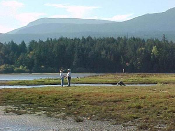 Enjoy the natural estuary waterfrontage