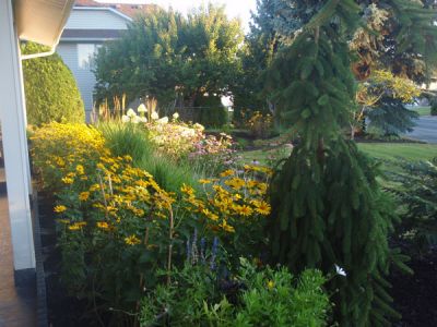 AppleTree Bed and Breakfast