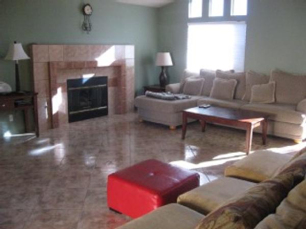 Comfortable furniture/fireplace