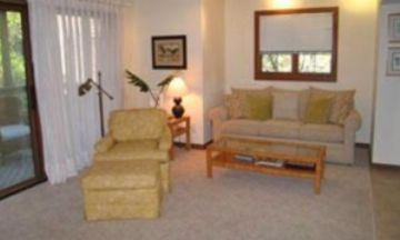 Johns Island, South Carolina, Vacation Rental Condo