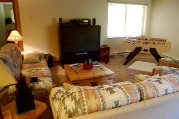 Downstairs Family room