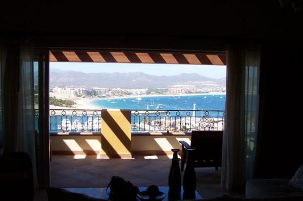 Penthouse View