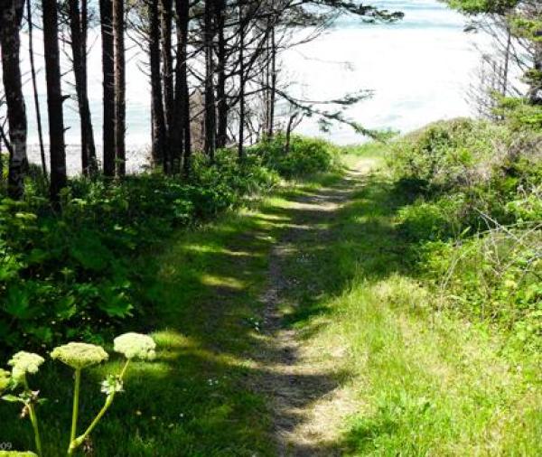 Walking Path