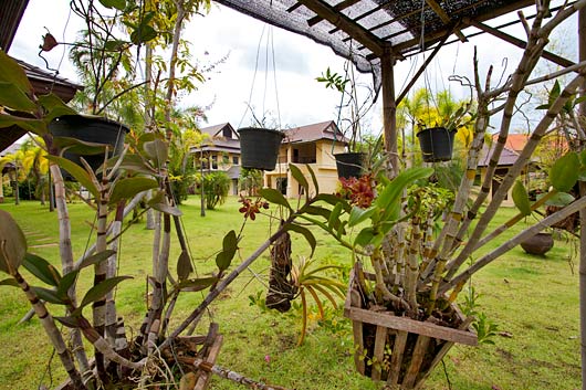 Chiang Mai Villa Rentals