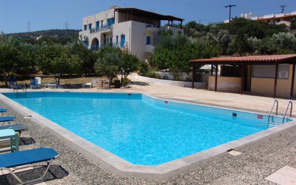 Pool with Deck