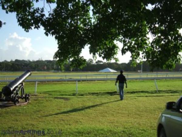 Races