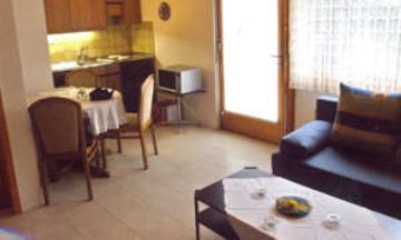 Frutigen, Bernese Oberland, Vacation Rental Condo