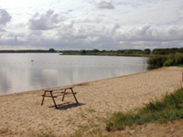 Beach View