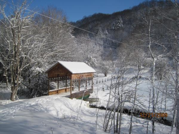 Snowy  View