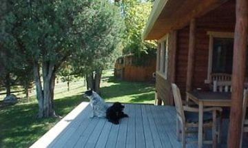Howard, Colorado, Vacation Rental Cabin