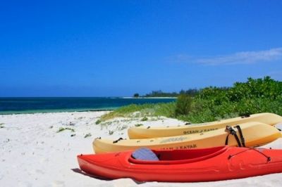 Kayaks available for exploring the bay