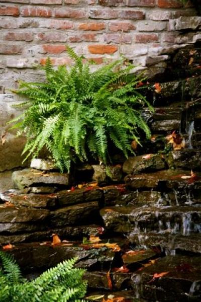 Another view of Garden