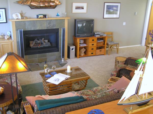 Enjoy the cozy fire in the comfortable living room