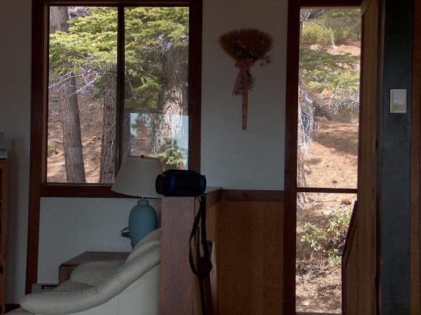 Out Side View from Interior