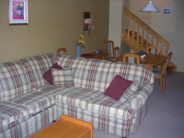 1 bedroom condo