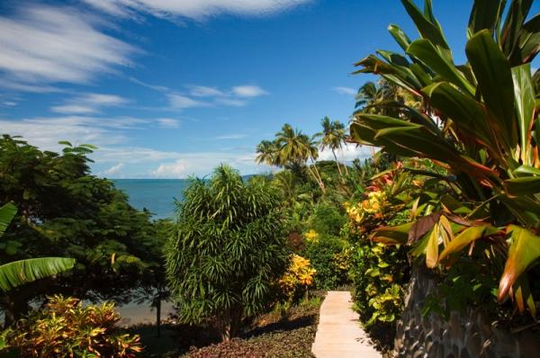 Path Down to The Beach