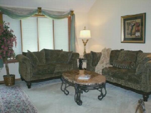 Comfy Elegant Sofas in Living Room
