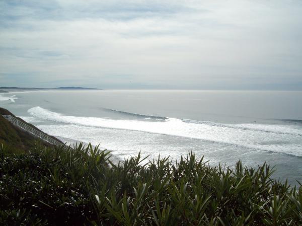 Ocean view