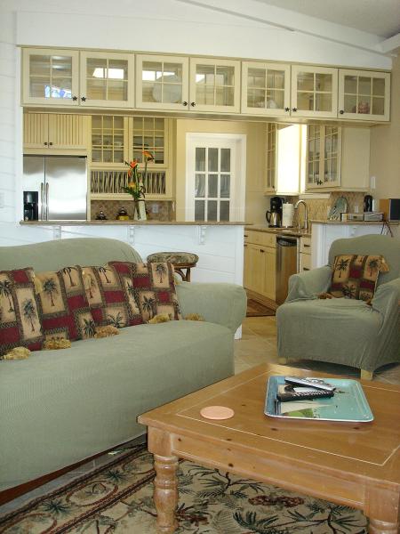 Another View of Living Room
