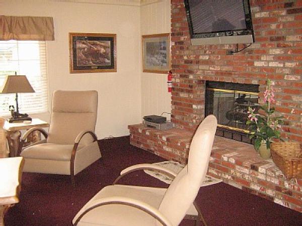 Living room, Gas fireplace and queen pullout couch