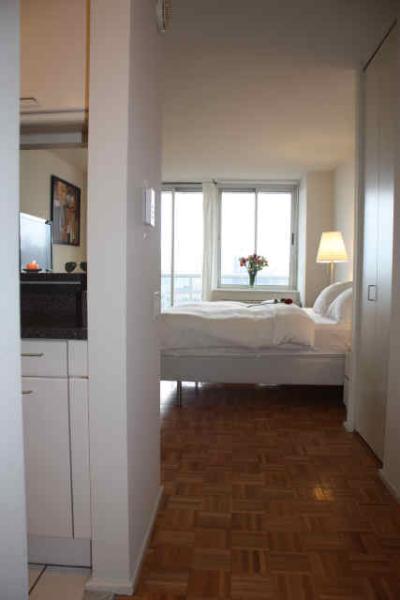 Spacious studio apartment