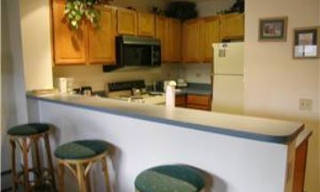 Breckenridge, Colorado, Vacation Rental Condo