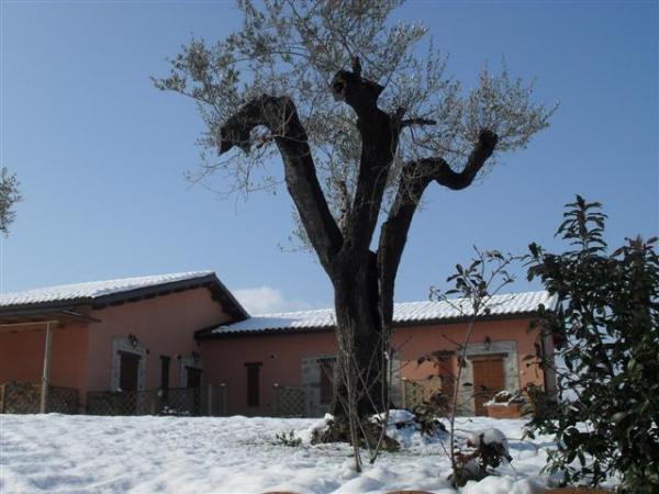 Le betulle Apartment in Winter Season