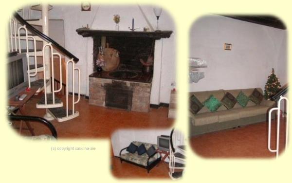 Lounge with character fireplace and sofa-bed 
