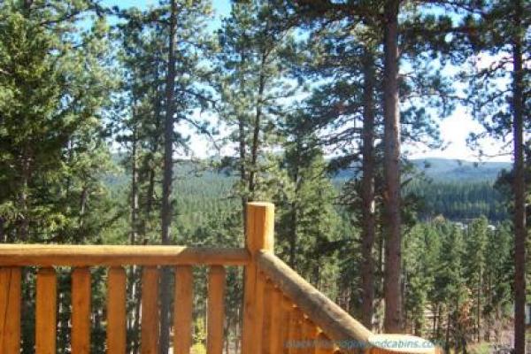 Forest View