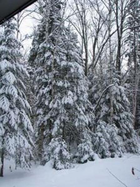 Views from the Chalet