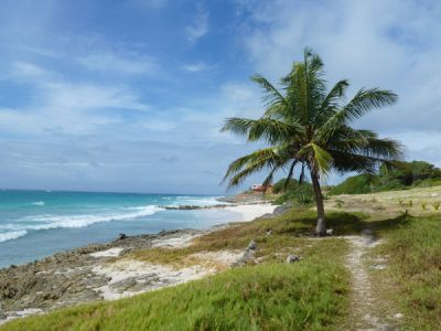 Surfer's Bay Beach, Barbados