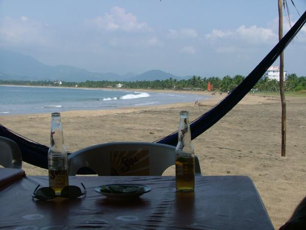 Life on the Beach