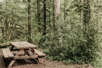 Picnic Table