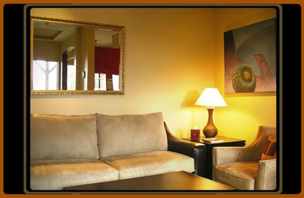 designer furnished