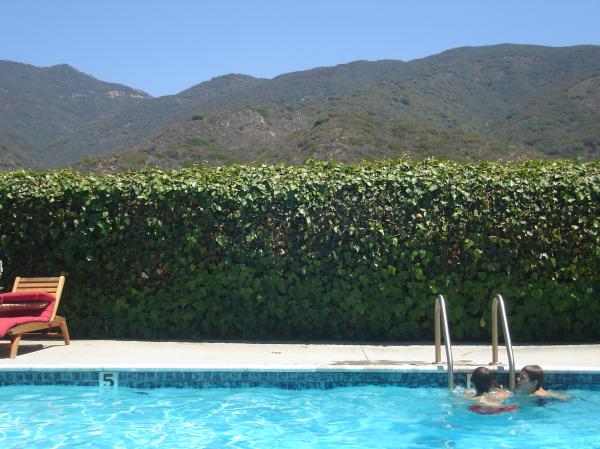 Pool on Premises