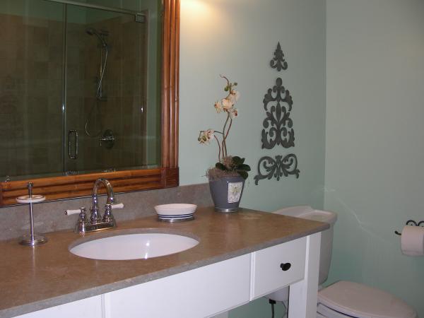 Can You See the Shower Reflected in the Mirror