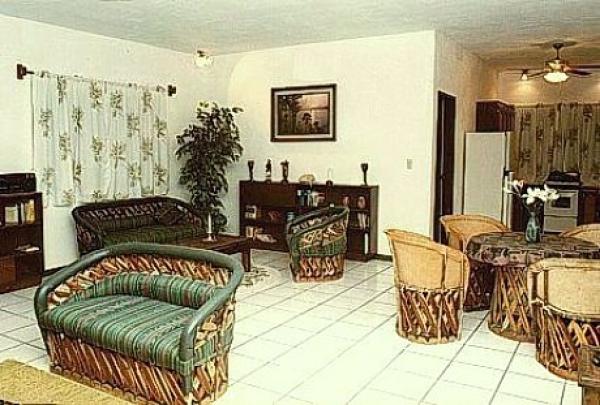 Equipales furnishing 