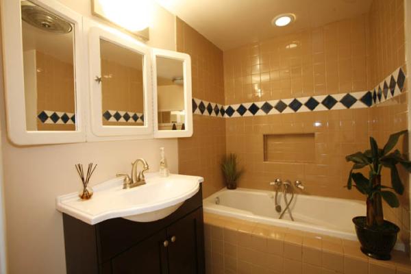 Bath Tub