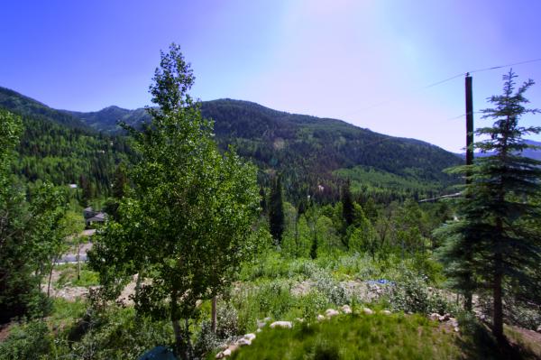 Southerly View from Deck in Summer