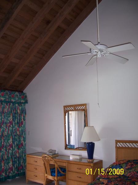 Cathedral Ceiling in Upper Level