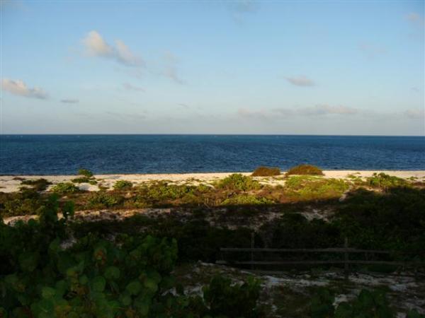 View from the deck