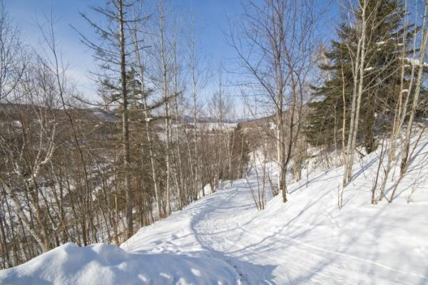 Ski Out Trail